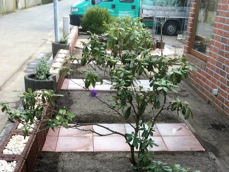Neu angelegtes Staudenbeet mit Trittplatten und Klinkereinfassung – Gartengestaltung in Hohenlockstedt